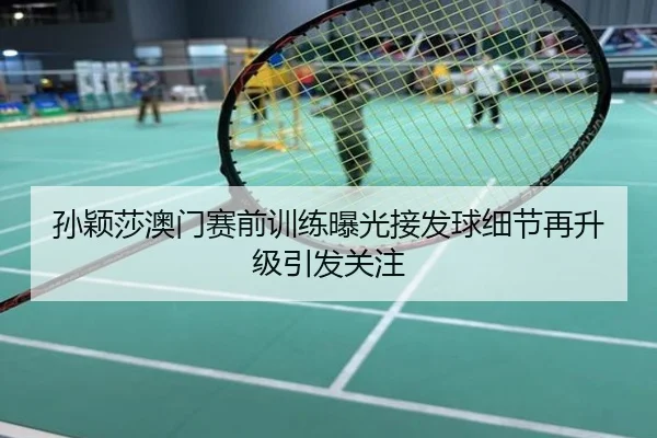 孙颖莎澳门赛前训练曝光接发球细节再升级引发关注